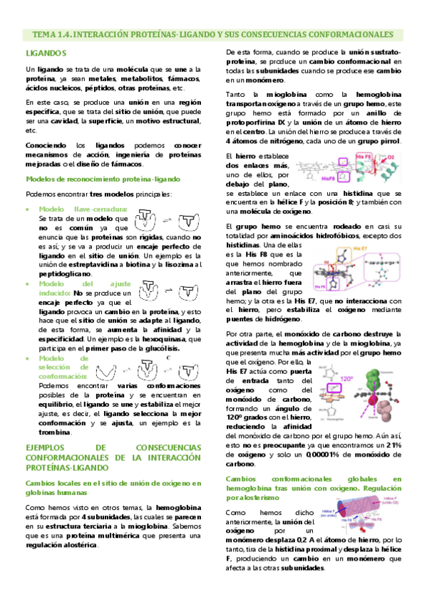 Miniatura del documento Tema 1.4. Ingeniería de proteínas, Interacciones proteína-ligando y sus consecuencias conformacionales.pdf