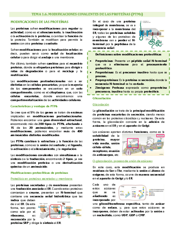 Miniatura del documento Tema 1.6. Ingeniería de proteínas, Modificaciones covalentes de las proteínas.pdf