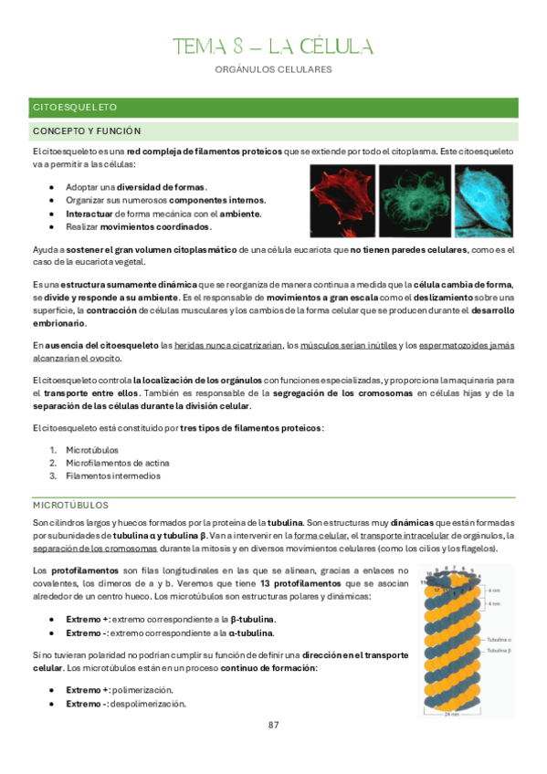 Miniatura del documento Tema-8-Bases-Organicas-e-Inorganicas-de-la-Vida.pdf