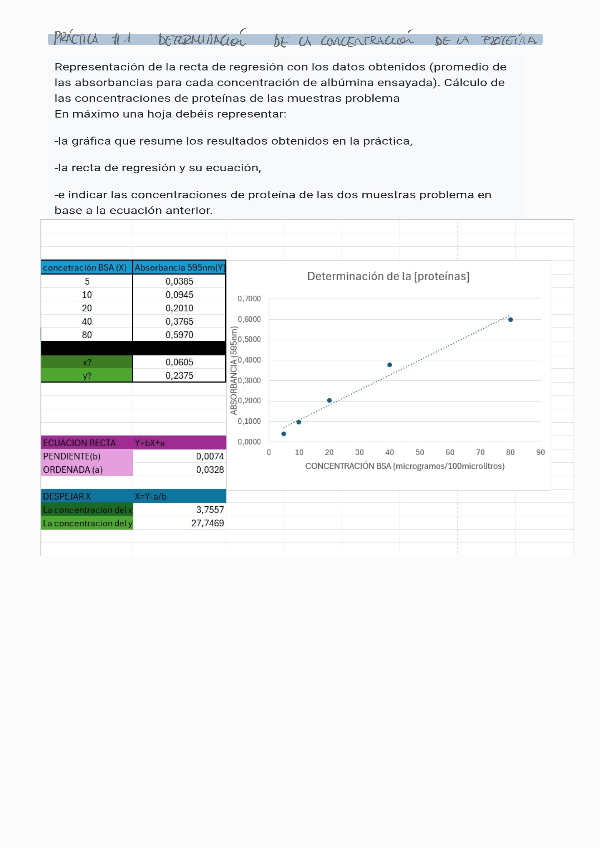 Miniatura del documento PRACTICA-1-Excel-Bioquimica.pdf