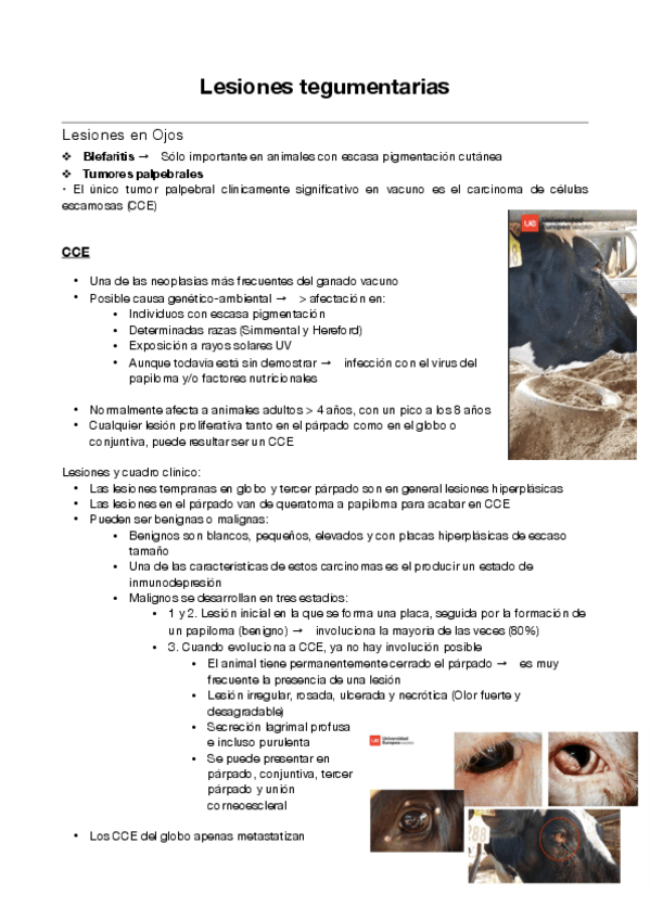 Miniatura del documento Lesiones-tegumentarias.pdf