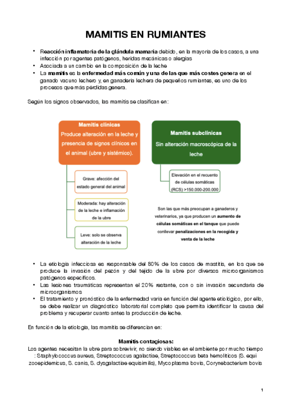 Miniatura del documento Mamitis-en-rumiantes.pdf