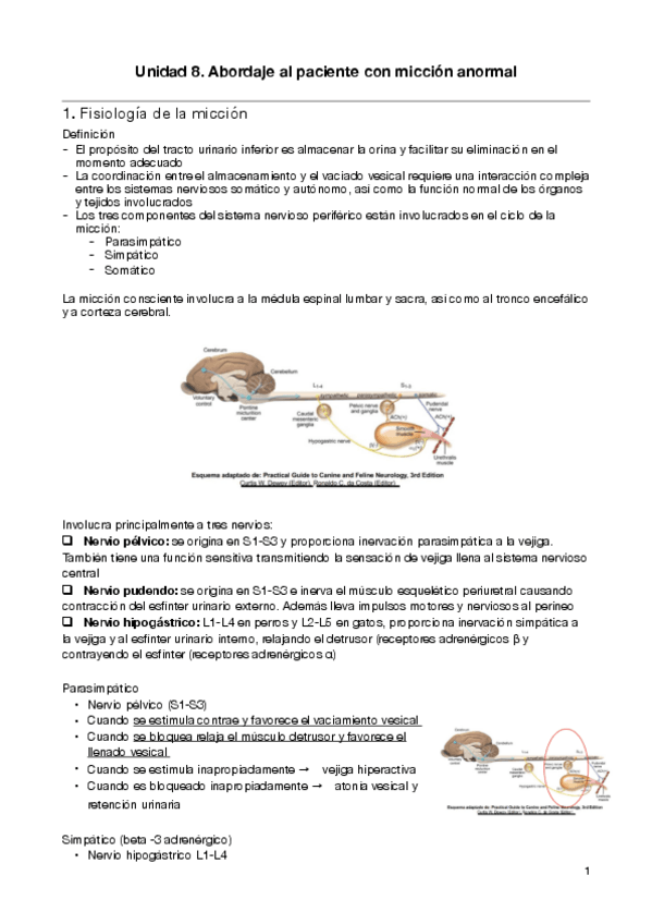 Miniatura del documento Unidad-8-abordaje-al-paciente-con-miccion-anormal.pdf