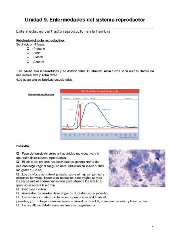 Miniatura del documento Unidad-9-enf-del-sistema-reproductor.pdf