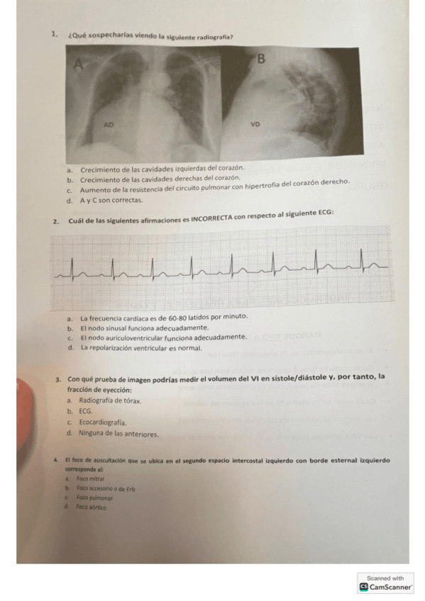 Miniatura del documento Practico-Fisio-II-2024-2025.pdf