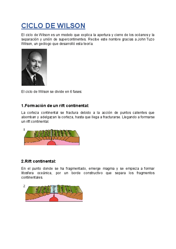 Miniatura del documento Ciclo-de-Wilson.docx.pdf