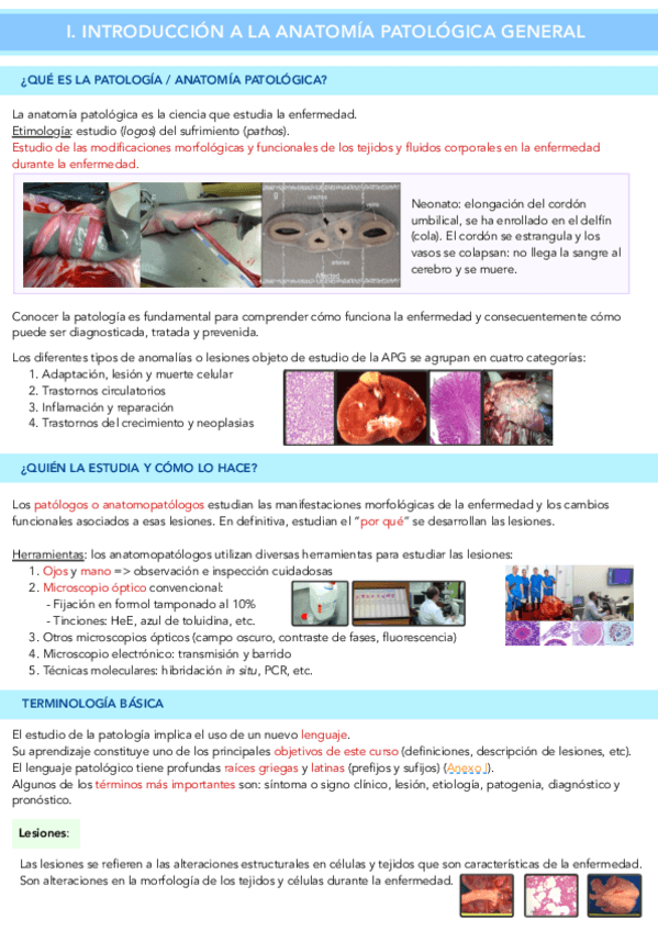 Miniatura del documento TEMA-1-APG.pdf