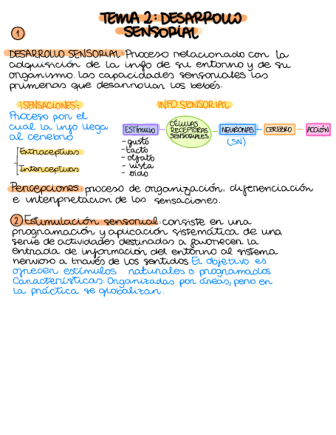 Miniatura del documento T2-DCM-Desarrollo-Sensorial.pdf