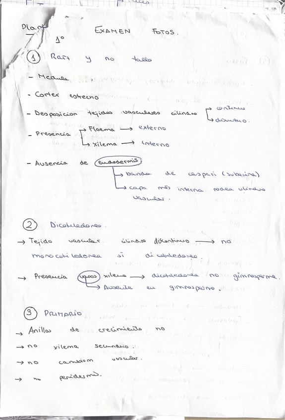Miniatura del documento EXAMEN-RESUELTO-DE-FOTOS-TALLO-HOJA-RAIZ.pdf