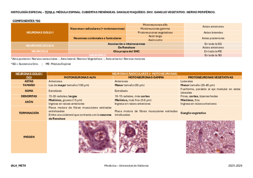 Miniatura del documento HE-TEMA-4.pdf