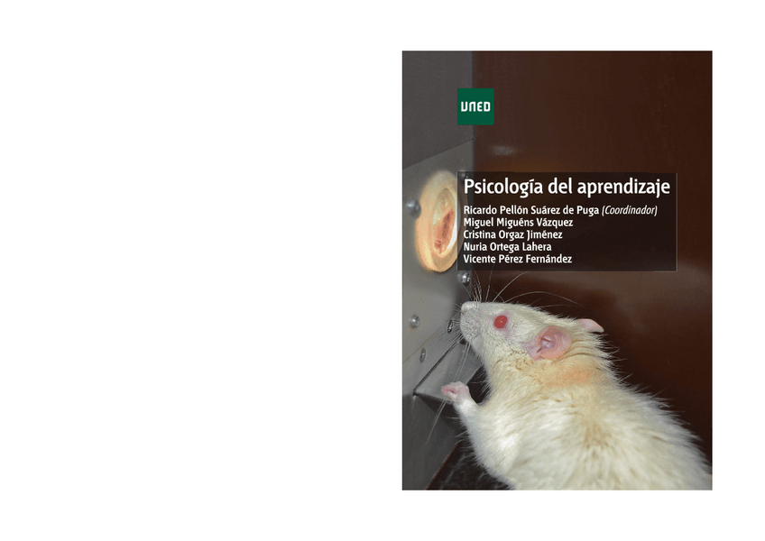 Miniatura del documento LIBRO-APRENDIZAJE.pdf