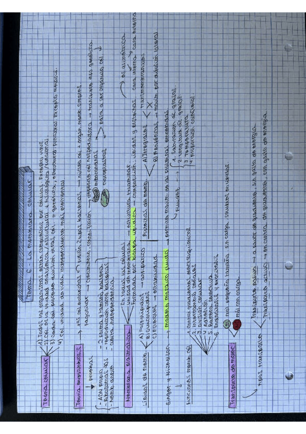Miniatura del documento ESQUEMAS-CELULA.pdf