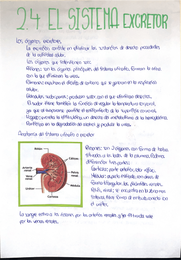 Miniatura del documento Documento-escaneado-2025-10-11-a-las-11.30.42.pdf