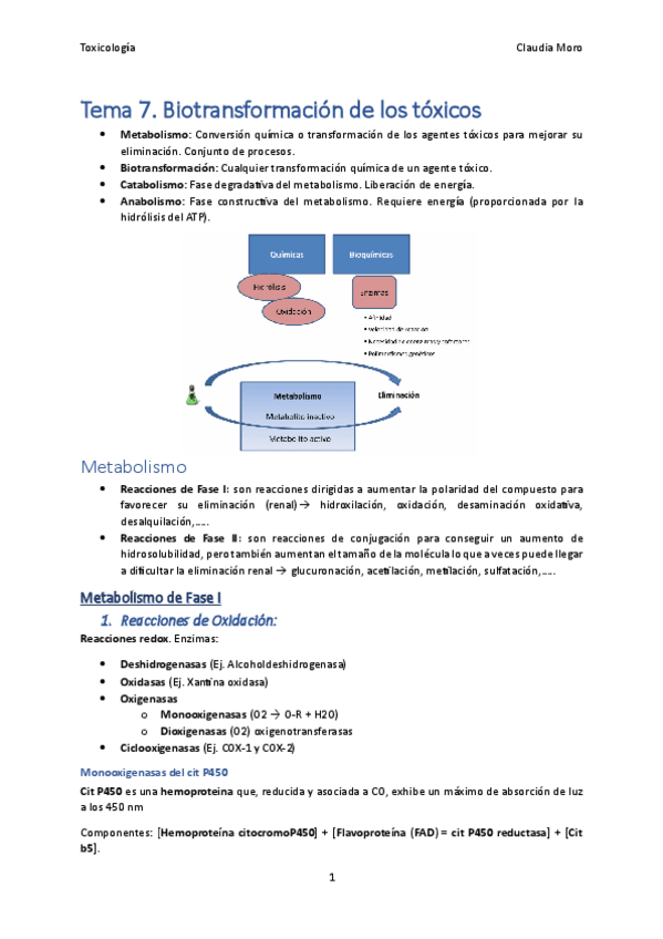 Miniatura del documento Tema-7.pdf