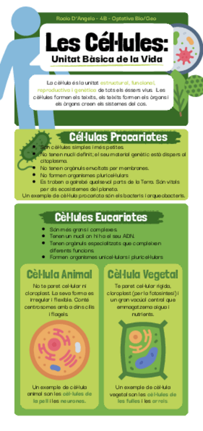 Miniatura del documento Infografia-de-Les-Cellules-Rocio-DAngelo-4B.pdf