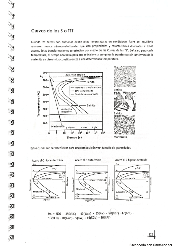 Miniatura del documento Autoevaluacion-Curvas-de-las-S-o-TTT.pdf