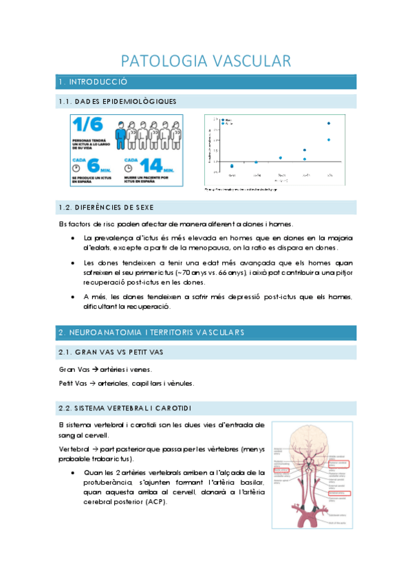 Miniatura del documento PATOLOGIA-VASCULAR.pdf