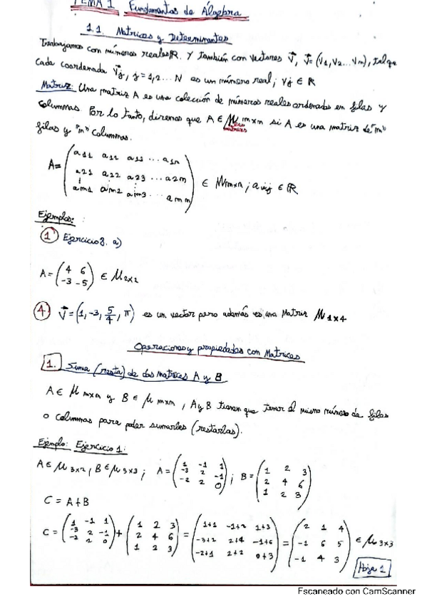 Miniatura del documento TEMA-1-FUNDAMENTOS-DE-ALGEBRA.pdf