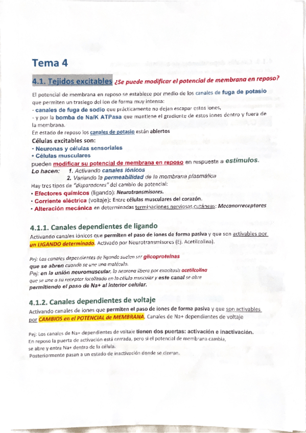 Miniatura del documento TEMA-4.-Resumen.pdf