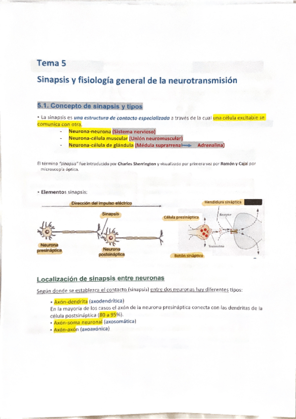 Miniatura del documento TEMA-5-.-Resumen.pdf
