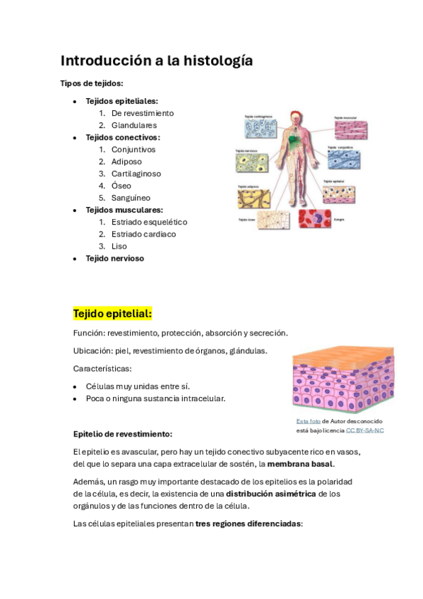 Miniatura del documento Introduccion-a-la-histologia.pdf