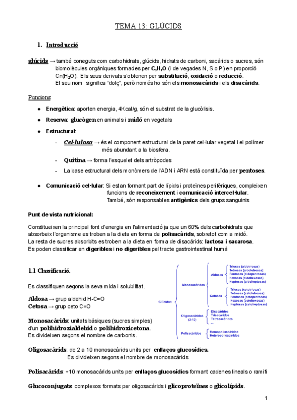 Miniatura del documento Tema-13-Glucids.pdf