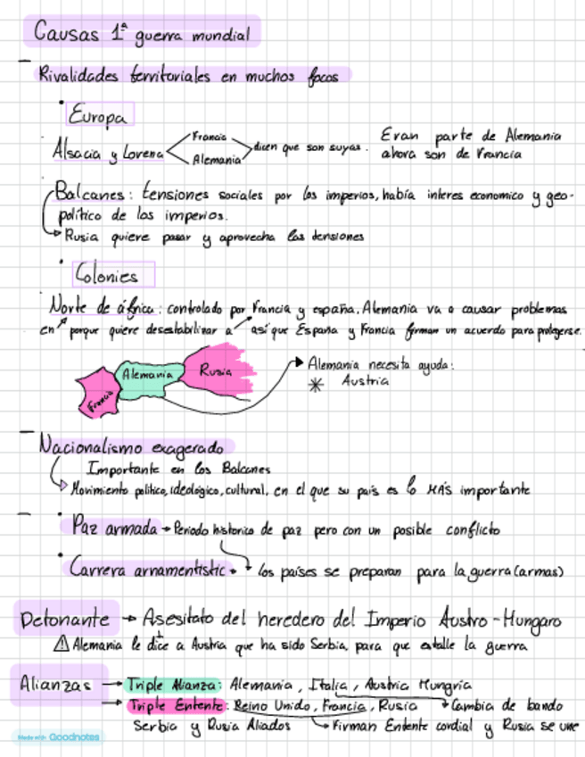 Miniatura del documento Causas-1-guerra-mundial.pdf