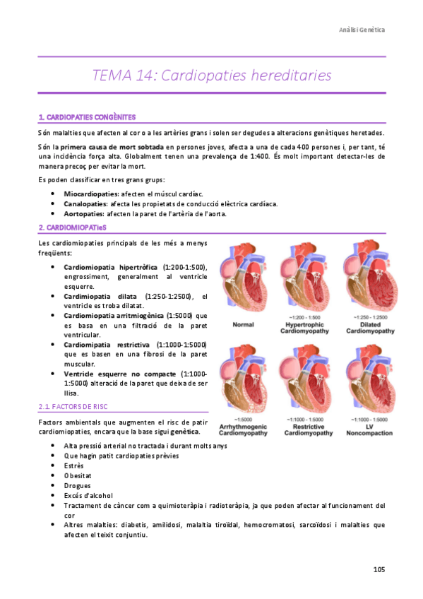 Miniatura del documento TEMA-14.pdf