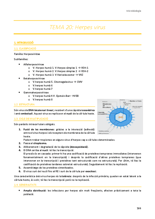 Miniatura del documento TEMA-20.pdf