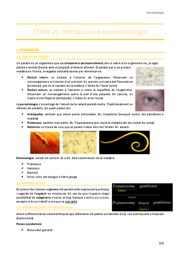 Miniatura del documento TEMA-21.pdf