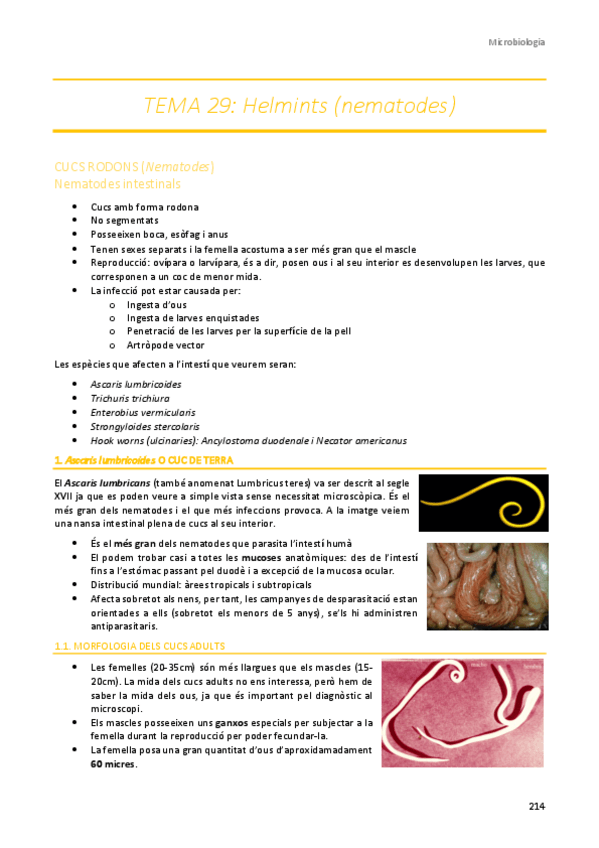 Miniatura del documento TEMA-29.pdf