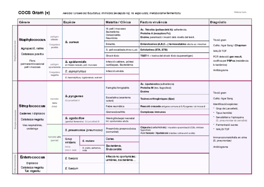Miniatura del documento esquemas-micro-final-3.pdf