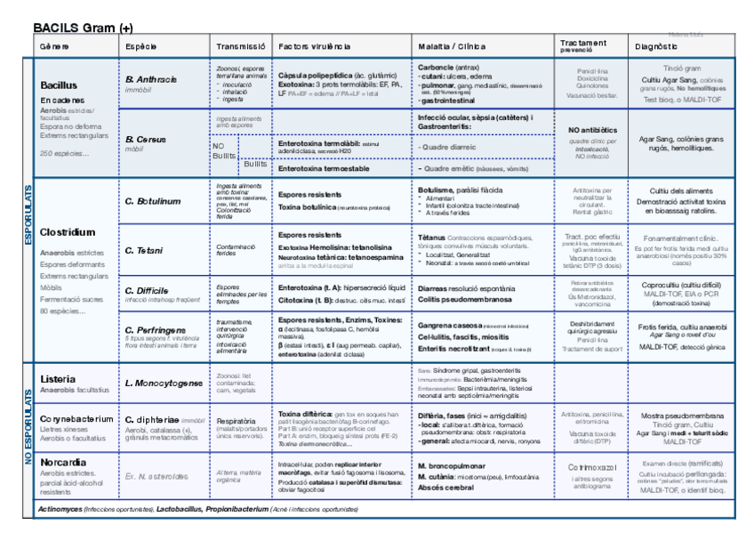 Miniatura del documento esquemas-micro-final-5.pdf