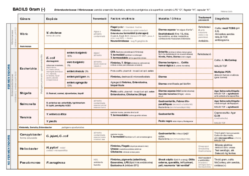 Miniatura del documento esquemas-micro-final-7.pdf