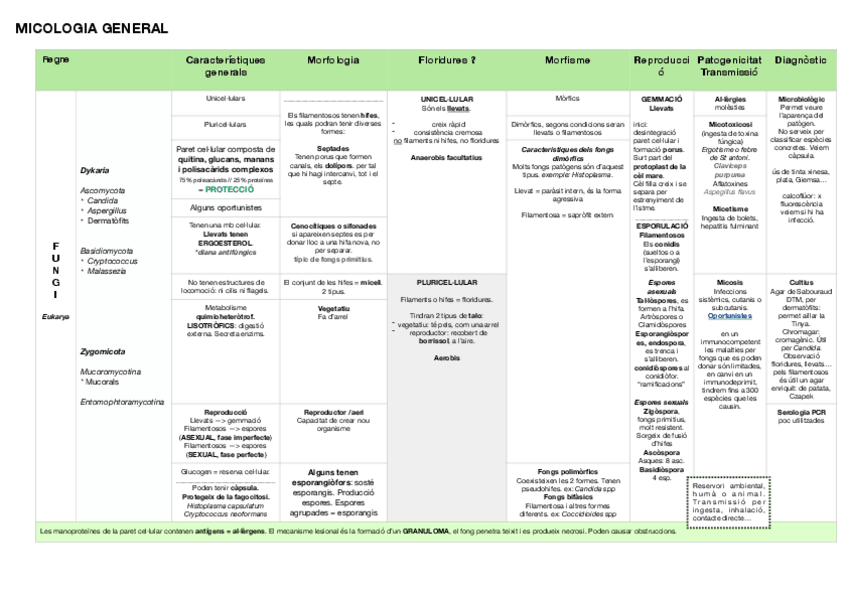 Miniatura del documento esquemas-micro-final-9.pdf