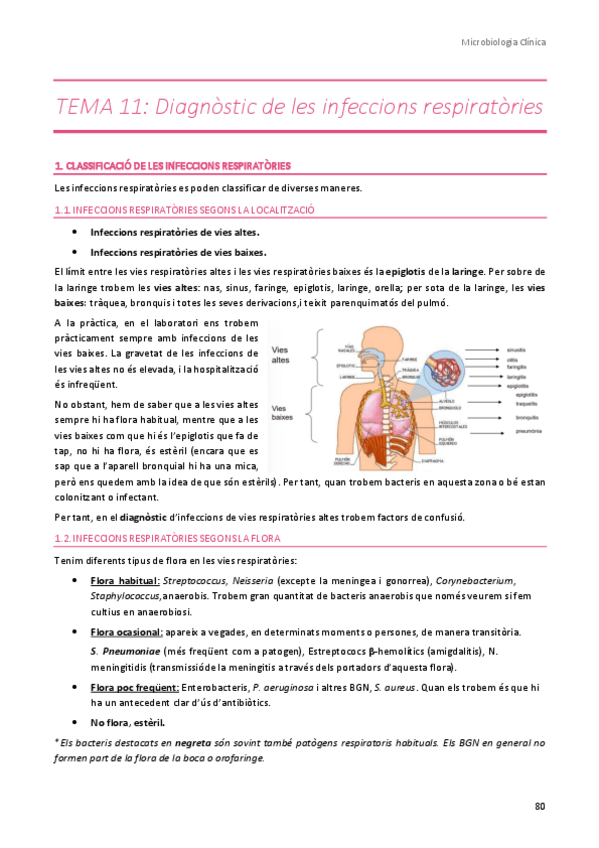 Miniatura del documento TEMA-11.pdf