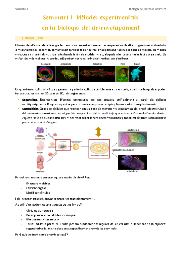 Miniatura del documento Seminari-1-Metodes-experimentals.pdf