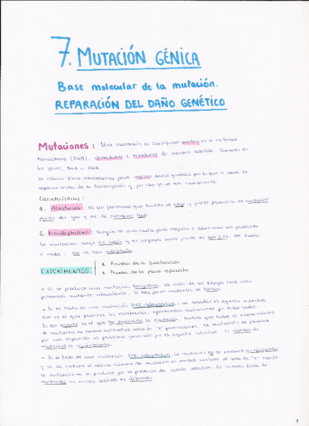 Miniatura del documento TEMA 7.pdf