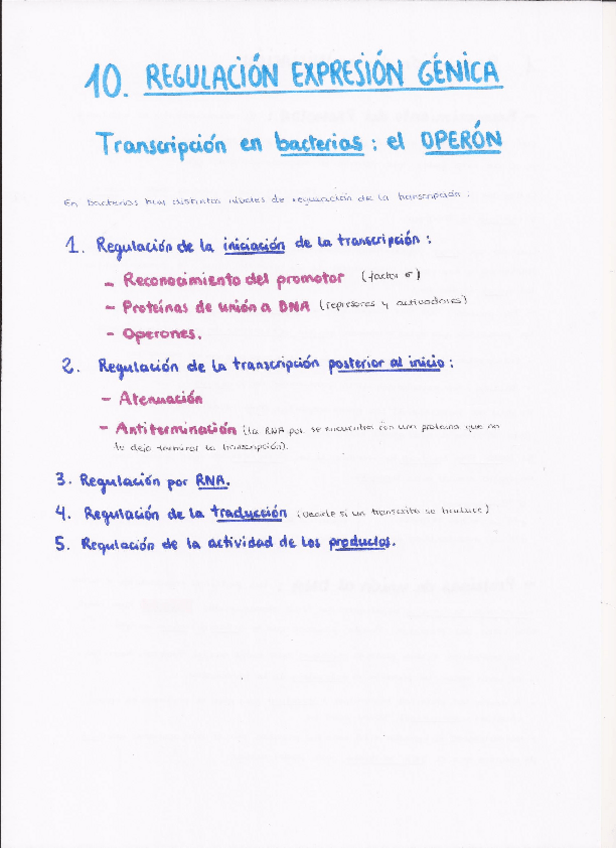 Miniatura del documento TEMA 10.pdf