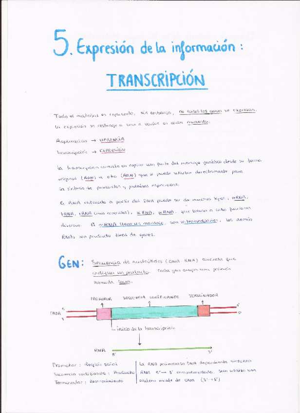 Miniatura del documento TEMA 5.pdf
