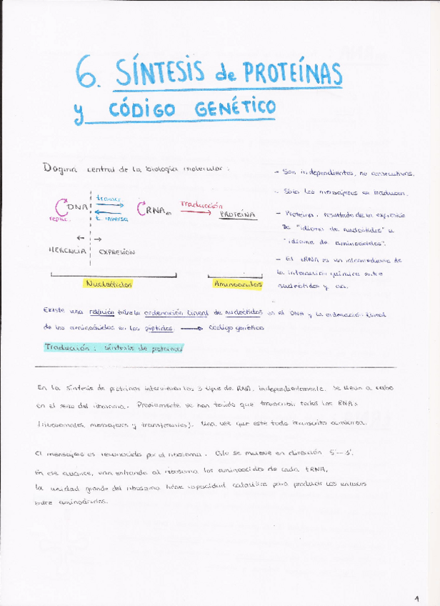 Miniatura del documento TEMA 6.pdf