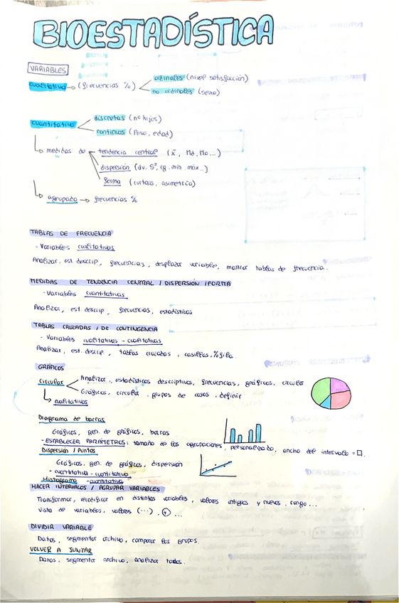 Miniatura del documento Bioestadistica-paginas-1.pdf