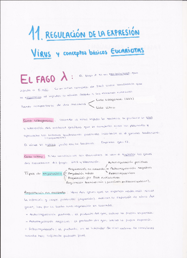 Miniatura del documento TEMA 11.pdf