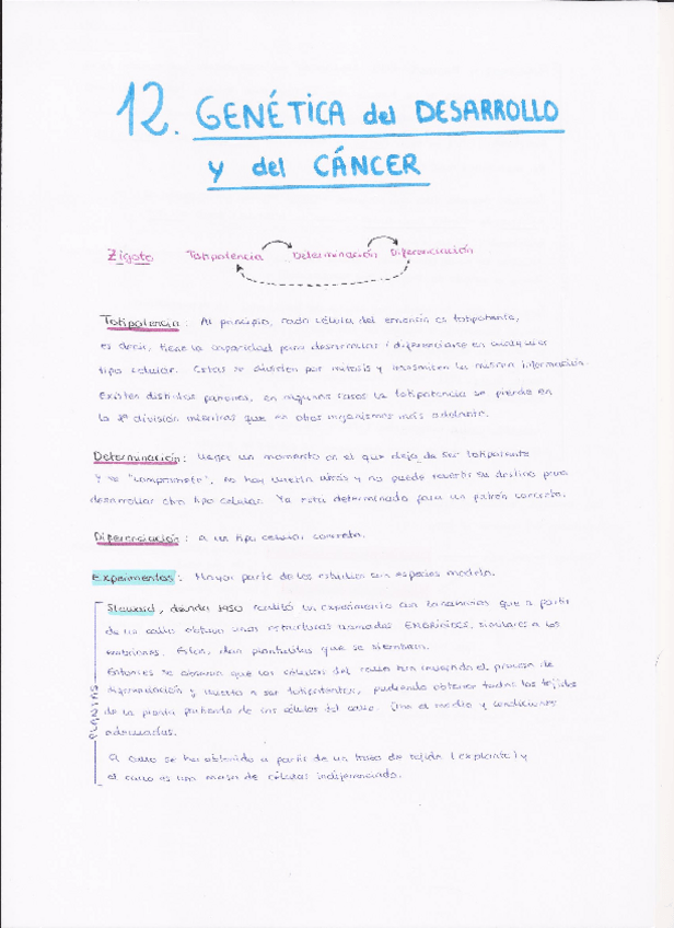 Miniatura del documento TEMA 12.pdf