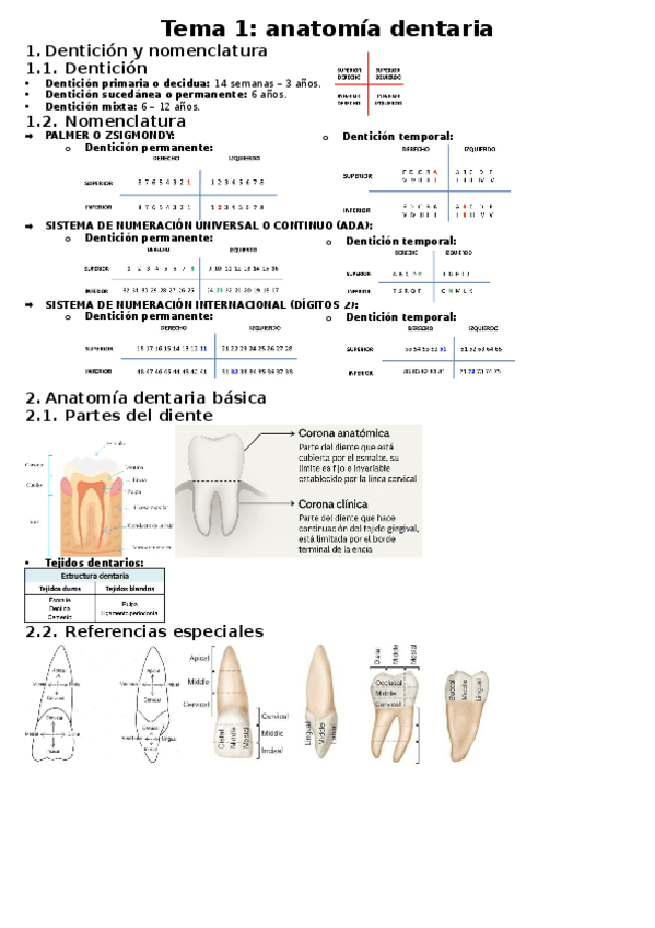 Miniatura del documento 1er-parcial-resumen.docx