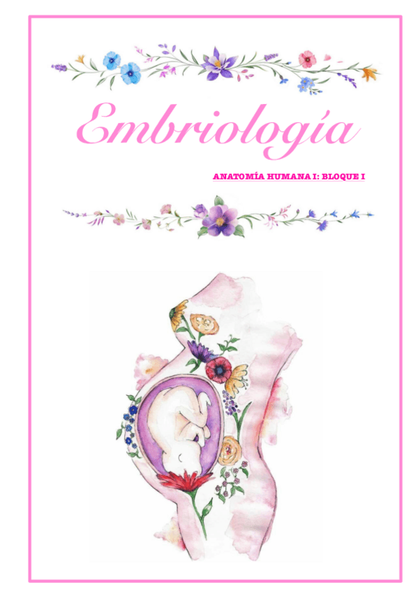 Miniatura del documento Apuntes-Conjunto-Embio.pdf