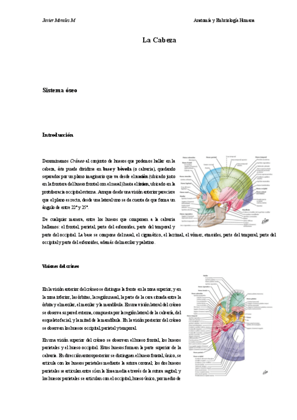 Miniatura del documento La-Cabeza.pdf