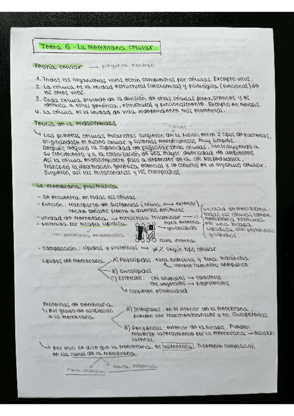 Miniatura del documento APUNTES-CELULA.pdf