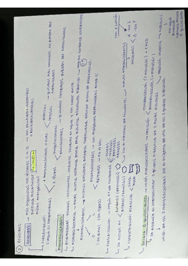 Miniatura del documento ESQUEMA-GLUCIDOS.pdf