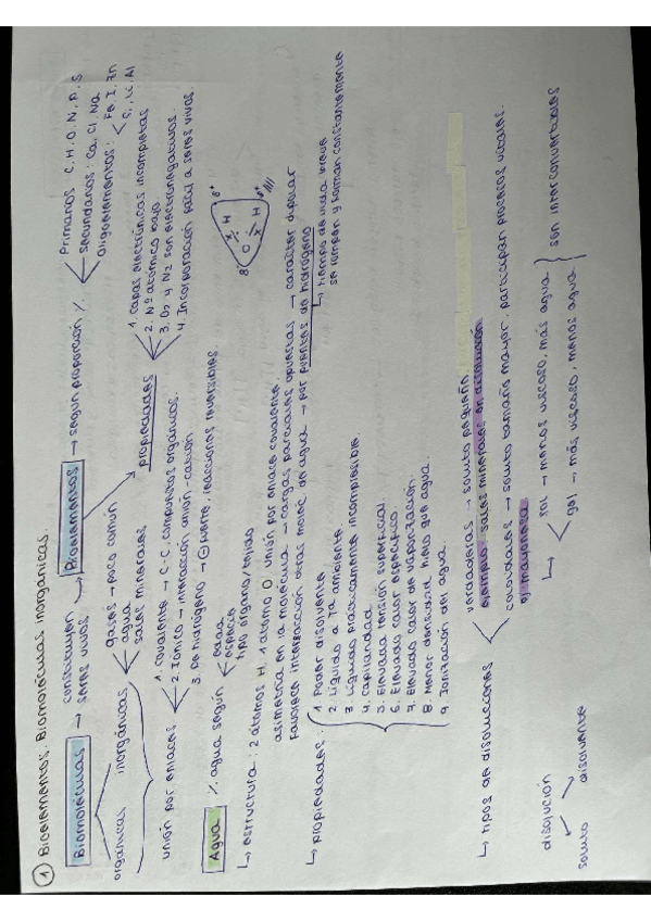 Miniatura del documento ESQUEMA-BIOMOL.-INOGANICAS.pdf